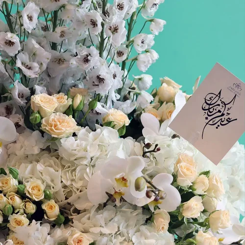 Eid Special(خاص بالعيد)