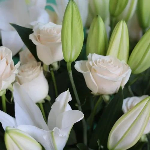 Casablanca Vase(فازة كازبلانكا)