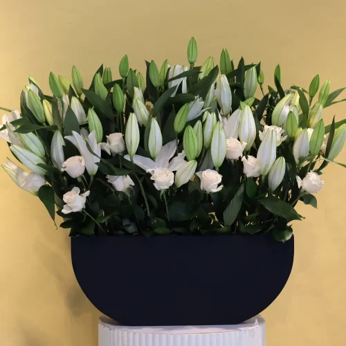 Casablanca White(كازبلانكا البيضاء)