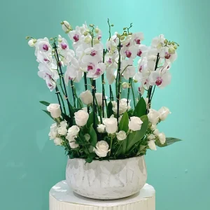 Red Lips with Rose-1(شفايف حمراء مع ورد-1)