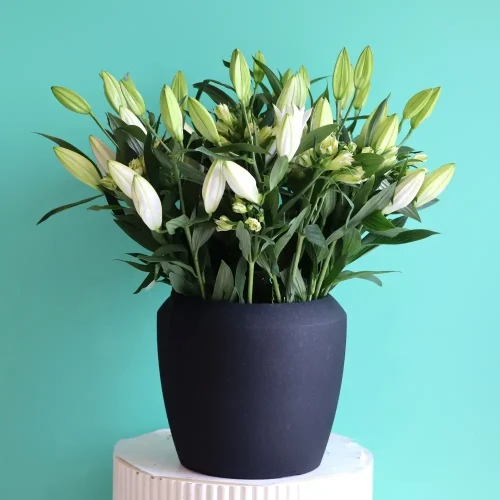 Happy White Lilies(ليليز سعيدة بيضاء)