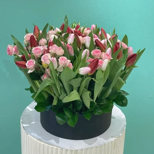 Lovely Tulip-2(توليب جميل-1)