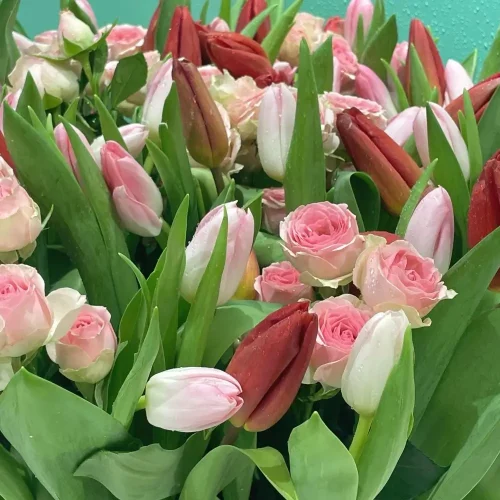 Lovely Tulip-2(توليب جميل-1)