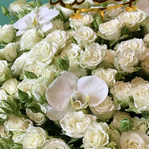 First Love(الحب الاول)