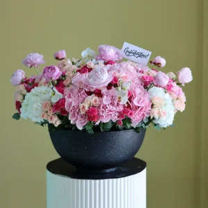 Pleasant Pink(لطيف الوردي)