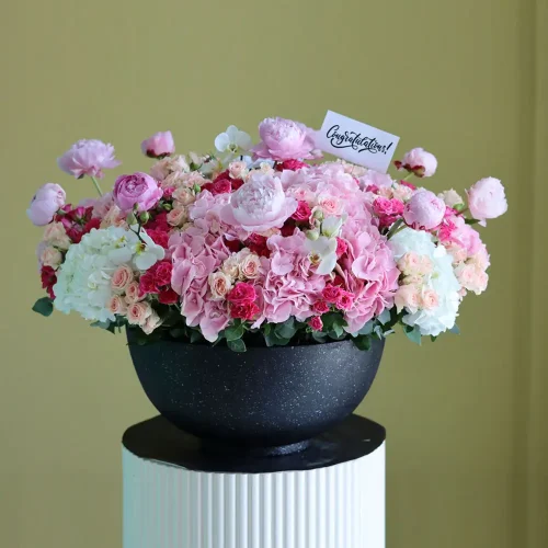 Pleasant Pink(لطيف الوردي)