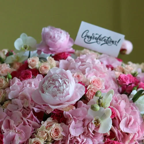 Pleasant Pink(لطيف الوردي)