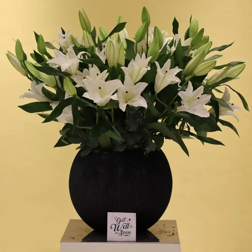 Luxurious Lilies-1(زنابق فاخرة-1)