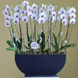 Perfect Arrange-1(الترتيب المثالي-1)