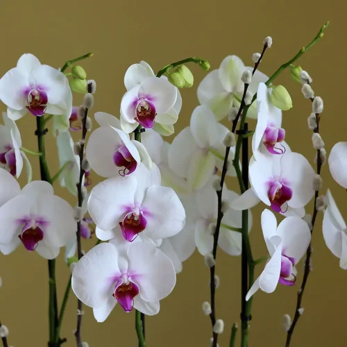 Perfect Arrange-1(الترتيب المثالي-1)