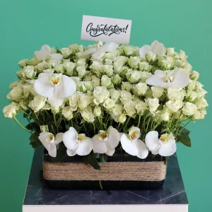 Luxury Roses Garden (حديقة الورود الفاخرة)