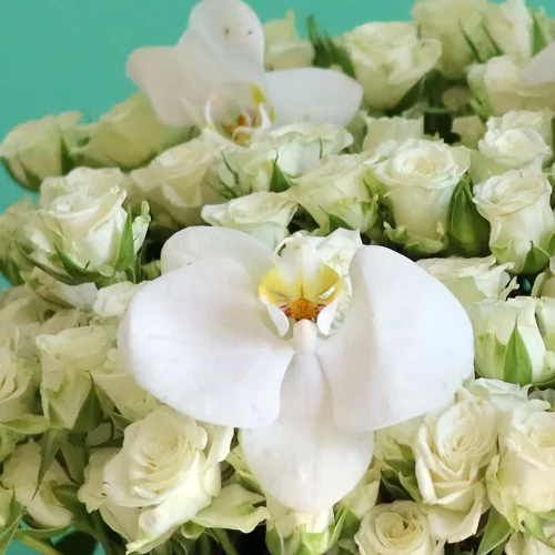 Luxury Roses Garden (حديقة الورود الفاخرة)