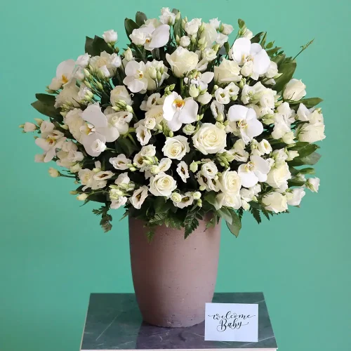 Happy White Bliss-3(سعيد النعيم الأبيض-3)