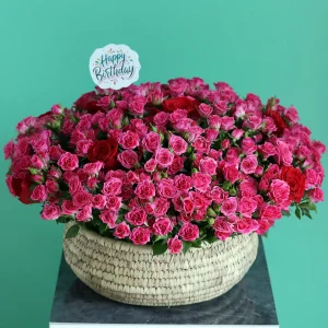 Blissful Birthday(بلسفل بيرثداي)