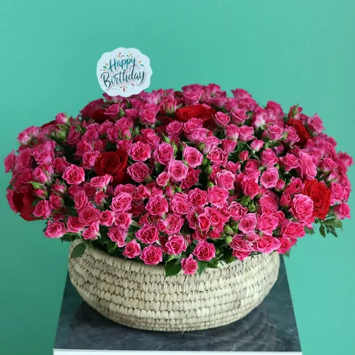 Blissful Birthday(بلسفل بيرثداي)