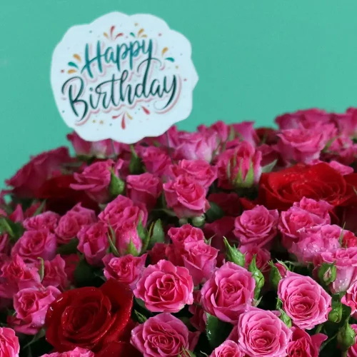 Blissful Birthday(بلسفل بيرثداي)