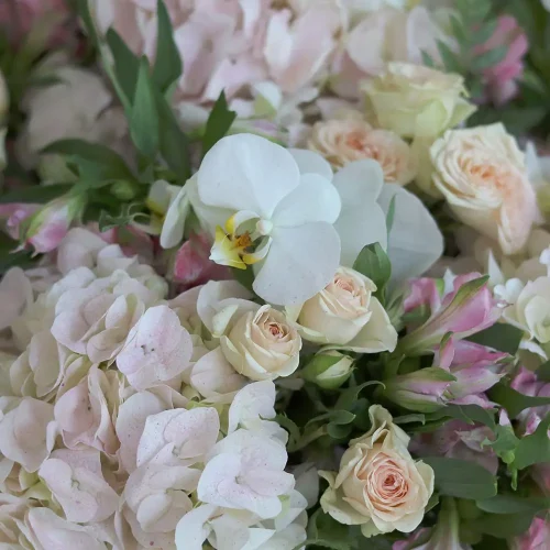 Perfect Arrange-2(الترتيب المثالي-2)