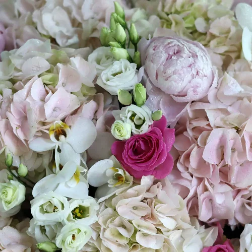 Classic(كلاسيك)