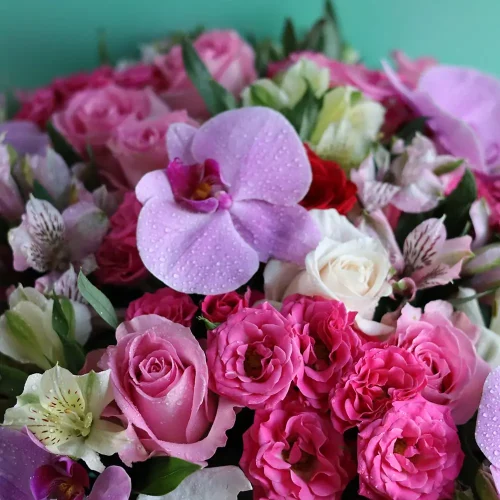 Happy Colorful -1(حبي كولورفل -1)