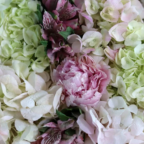 Classic One Face(وجه واحد كلاسيكي)