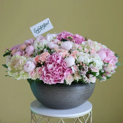 Pleasant Pink-1(لطيف الوردي-1)