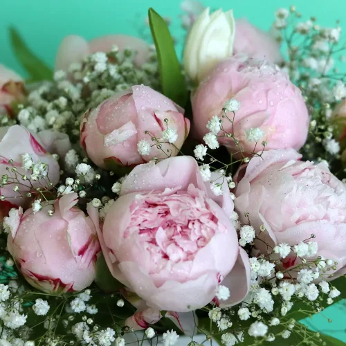 Brightness Bouquet (باقة السطوع)