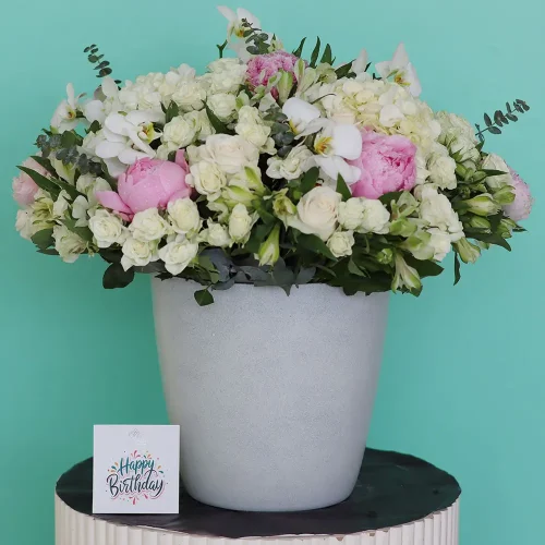 White Dream(الحلم الأبيض)