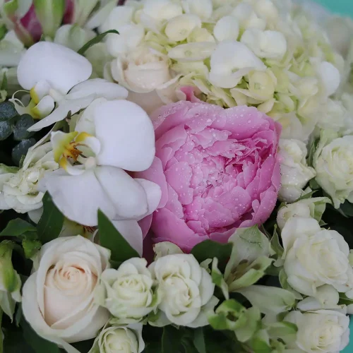 White Dream(الحلم الأبيض)