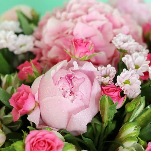 Glory Pink(المجد وردي)