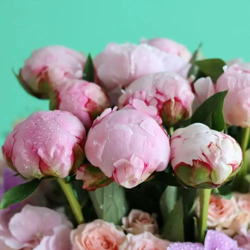 Sweet Pink(وردي حلو)