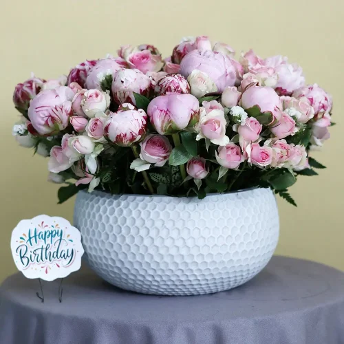 Blooms Peony(أزهار الفاوانيا)