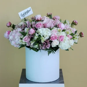 Brightness (سطوع)