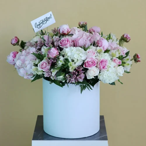 Brightness (سطوع)