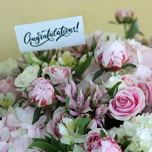 Brightness (سطوع)