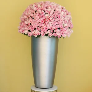 Pure Pink(وردي نقي)