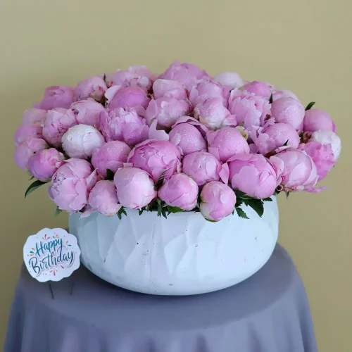 Classic Peonies(الفاوانيا الكلاسيكية)