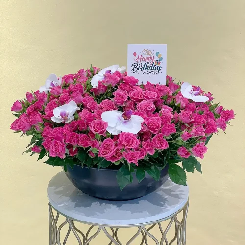 Amazing Pink(الوردي المذهل)