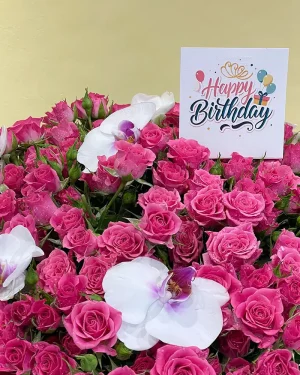 Amazing Pink(الوردي المذهل)