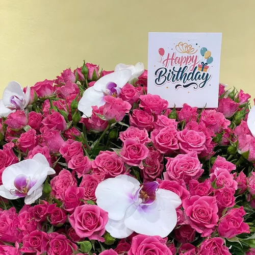 Amazing Pink(الوردي المذهل)