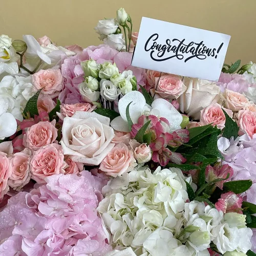 Elegant Pink(وردي أنيق)