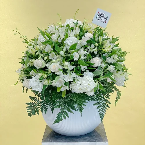 White Elegance(الأناقة البيضاء)