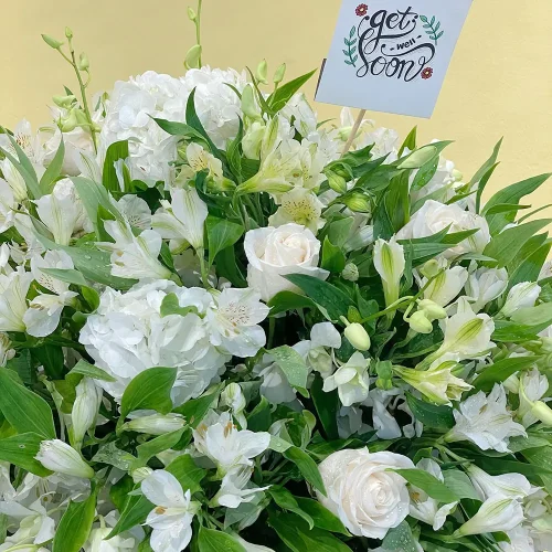 White Elegance(الأناقة البيضاء)