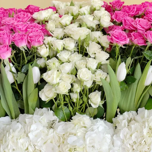 Elegant flower(زهرة أنيقة)