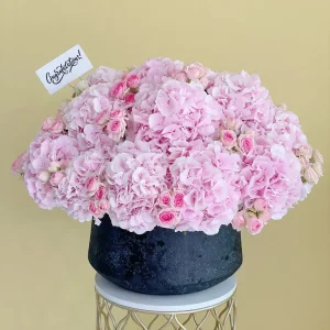 Congrats Pink(مبروك الوردي)