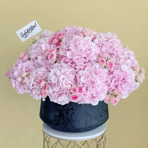 Congrats Pink(مبروك الوردي)