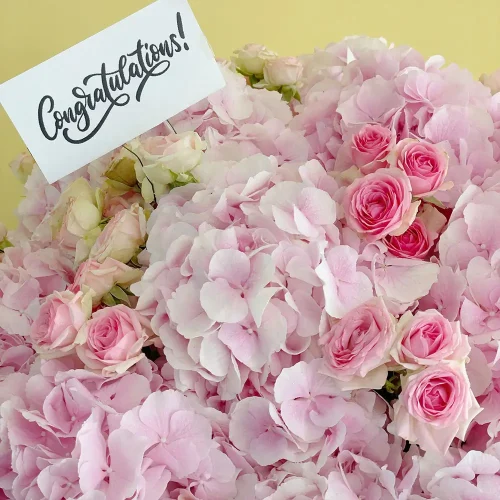 Congrats Pink(مبروك الوردي)