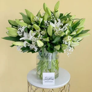 White Shining-1(الأبيض اللامع-1)