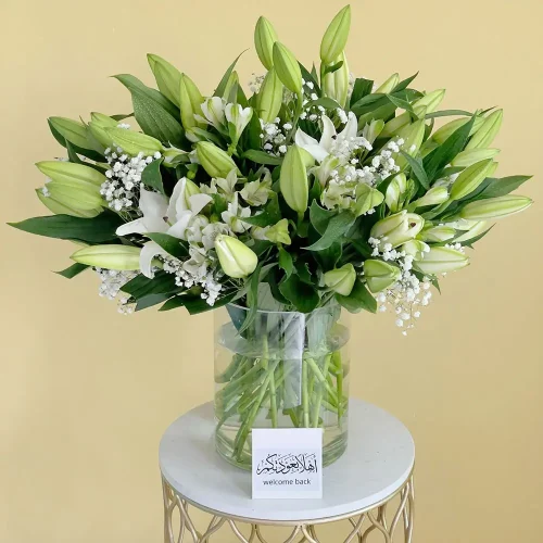 White Shining-1(الأبيض اللامع-1)