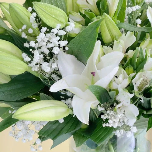 White Shining-1(الأبيض اللامع-1)