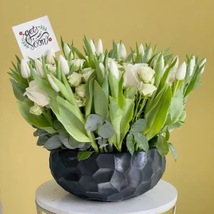 Tulips Delight(فرحة التوليب)